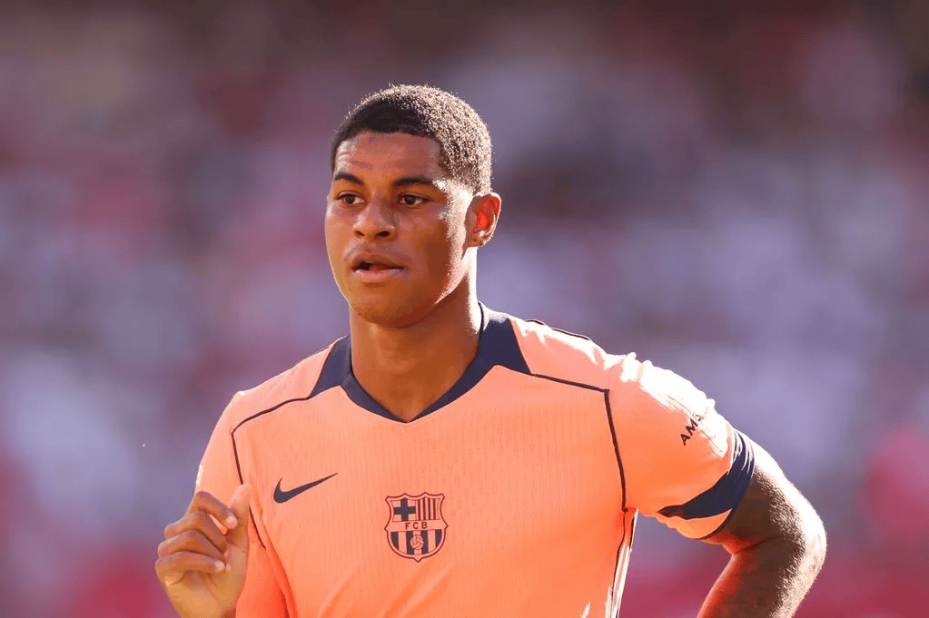 拥有明年夏 拥有明年夏